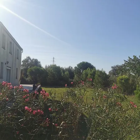 Plages De Camargue Et Dans Un Site Calme De Reve アパート